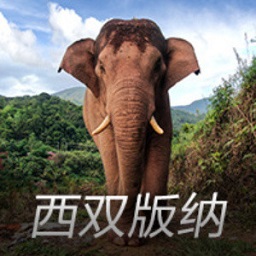肖雄：美貌实力不输刘晓庆，因拍戏和丈夫离婚，68岁单身无子女